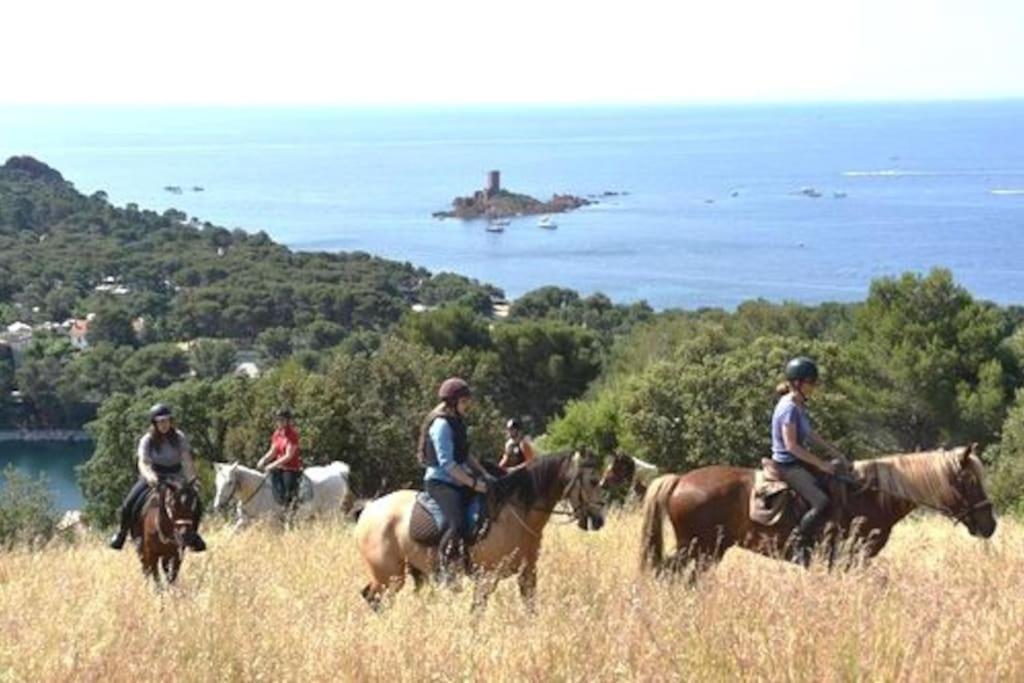 Dans Un Cadre D'Exception, Vue Mer Panoramique A Agay Cote D'Azur, Village Vacances Cap Esterel, T2 Avec Jardin, Golf, Climatisation, Wifi, 5 Piscines Сен-Рафаэль Экстерьер фото
