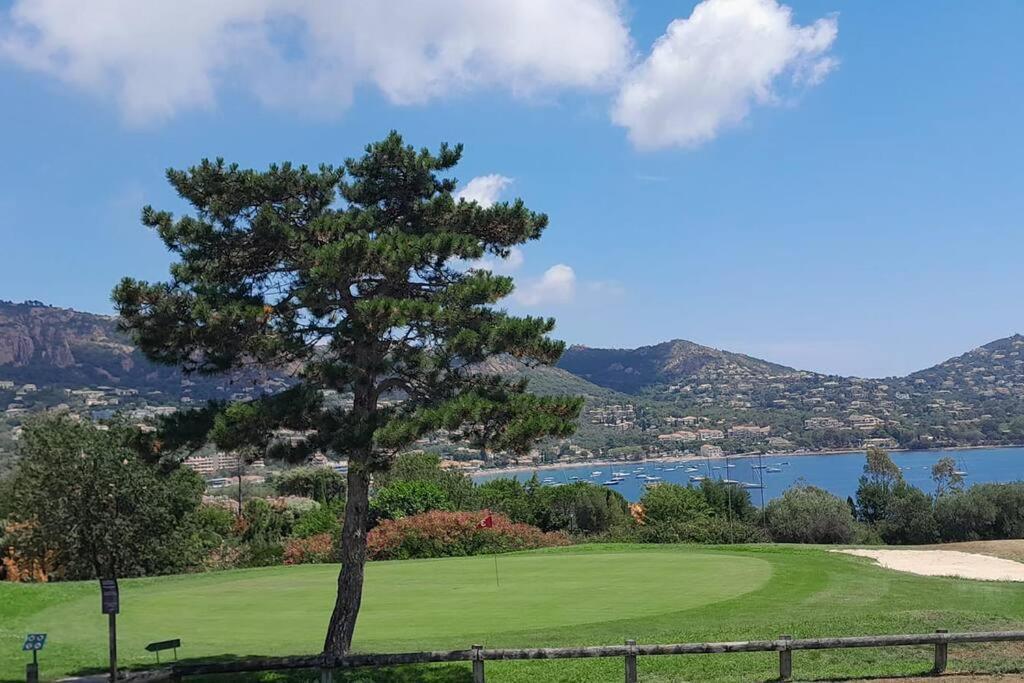 Dans Un Cadre D'Exception, Vue Mer Panoramique A Agay Cote D'Azur, Village Vacances Cap Esterel, T2 Avec Jardin, Golf, Climatisation, Wifi, 5 Piscines Сен-Рафаэль Экстерьер фото