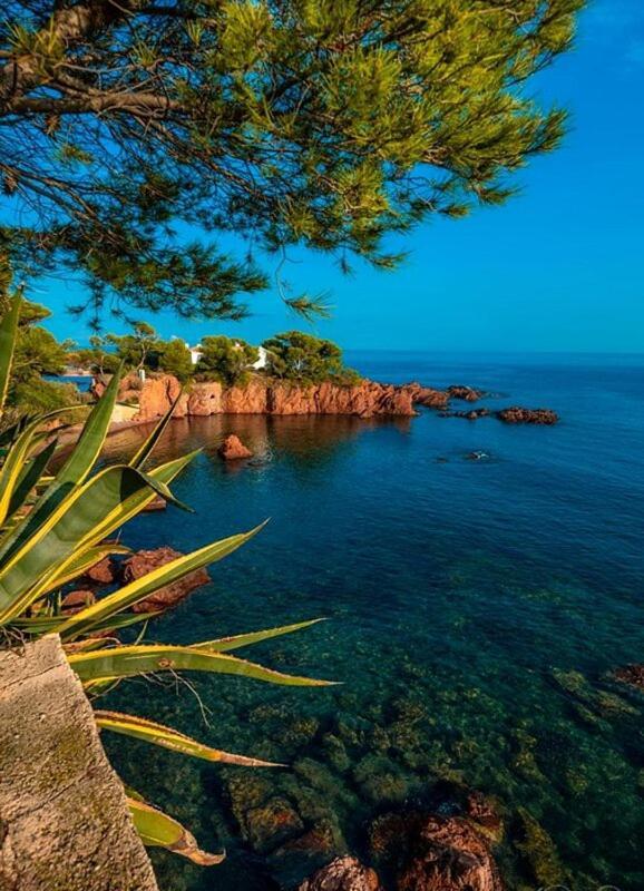 Dans Un Cadre D'Exception, Vue Mer Panoramique A Agay Cote D'Azur, Village Vacances Cap Esterel, T2 Avec Jardin, Golf, Climatisation, Wifi, 5 Piscines Сен-Рафаэль Экстерьер фото